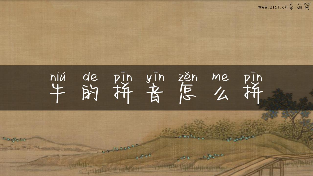 牛的拼音怎么拼