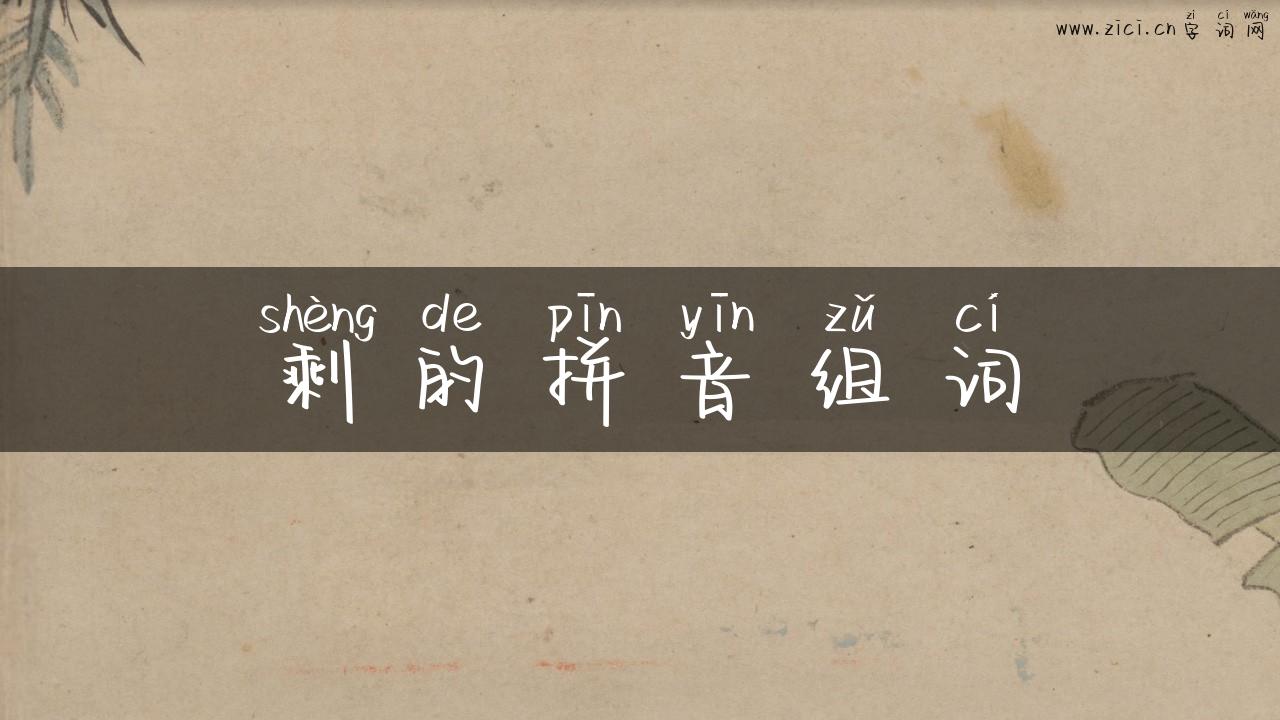 剩的拼音组词