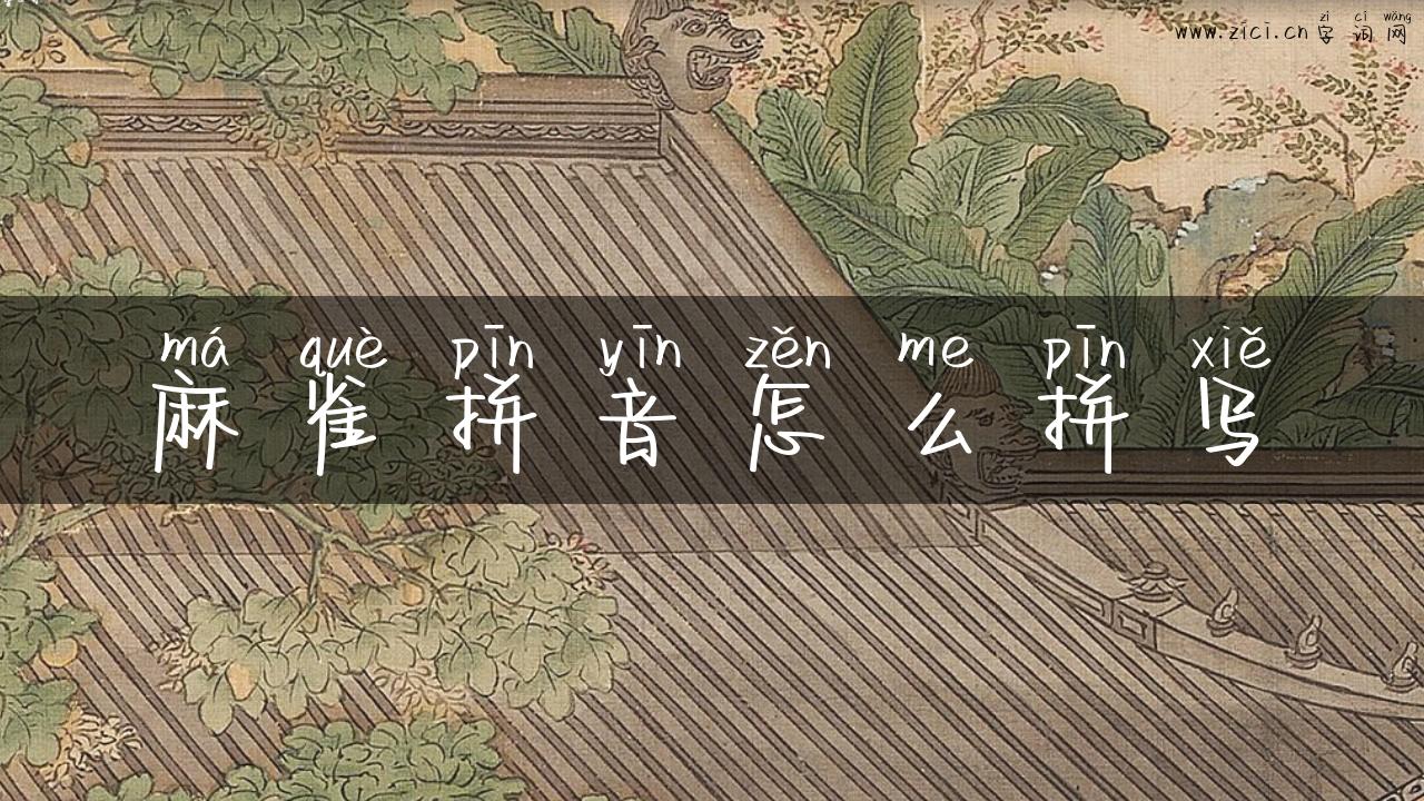 麻雀拼音怎么拼写