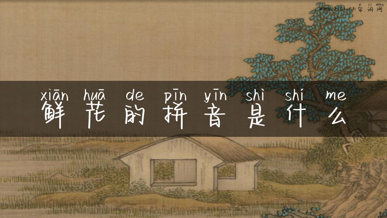 鲜花的拼音是什么