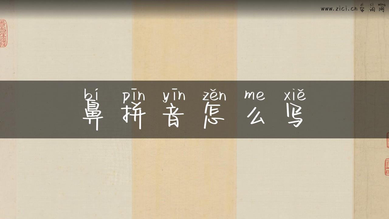 鼻拼音怎么写