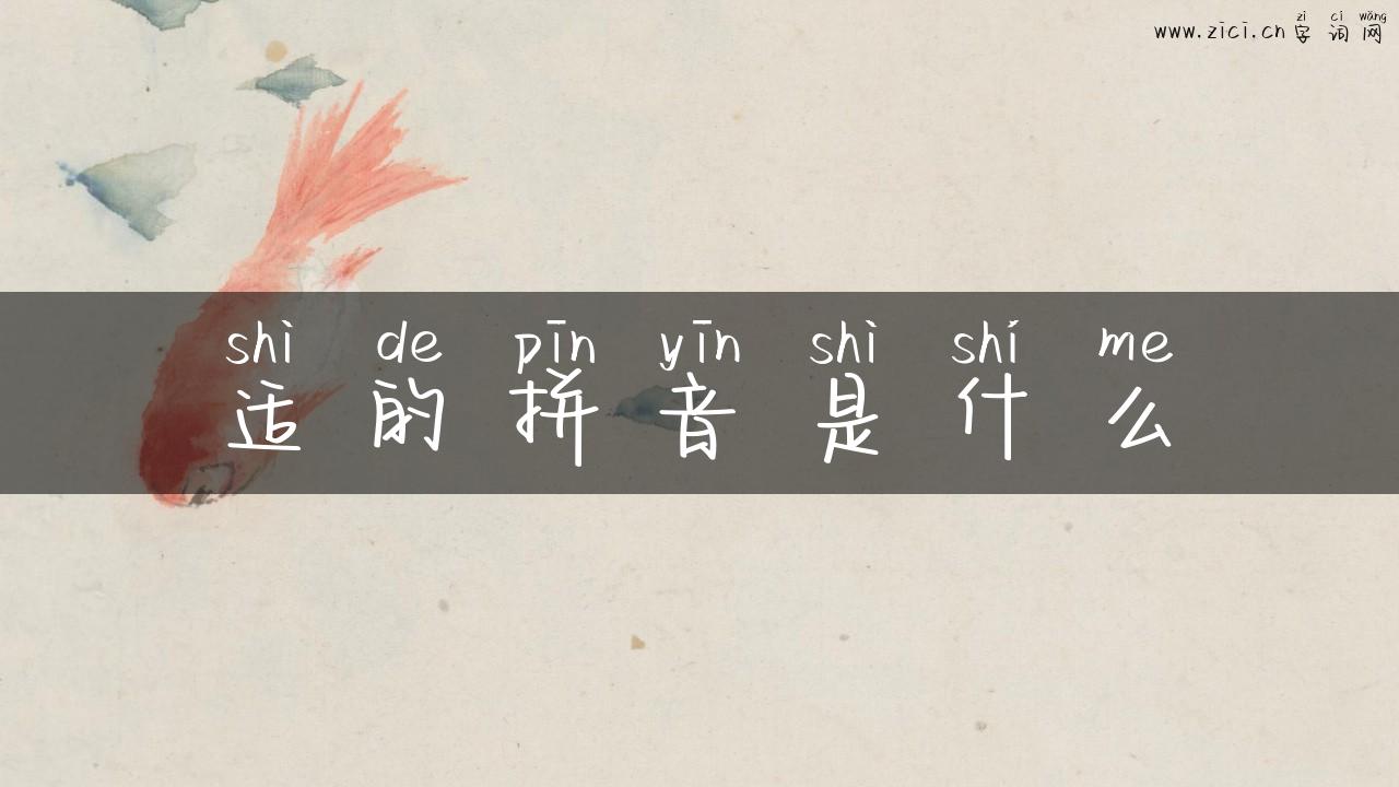 适的拼音是什么