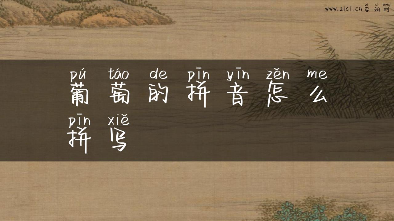 葡萄的拼音怎么拼写