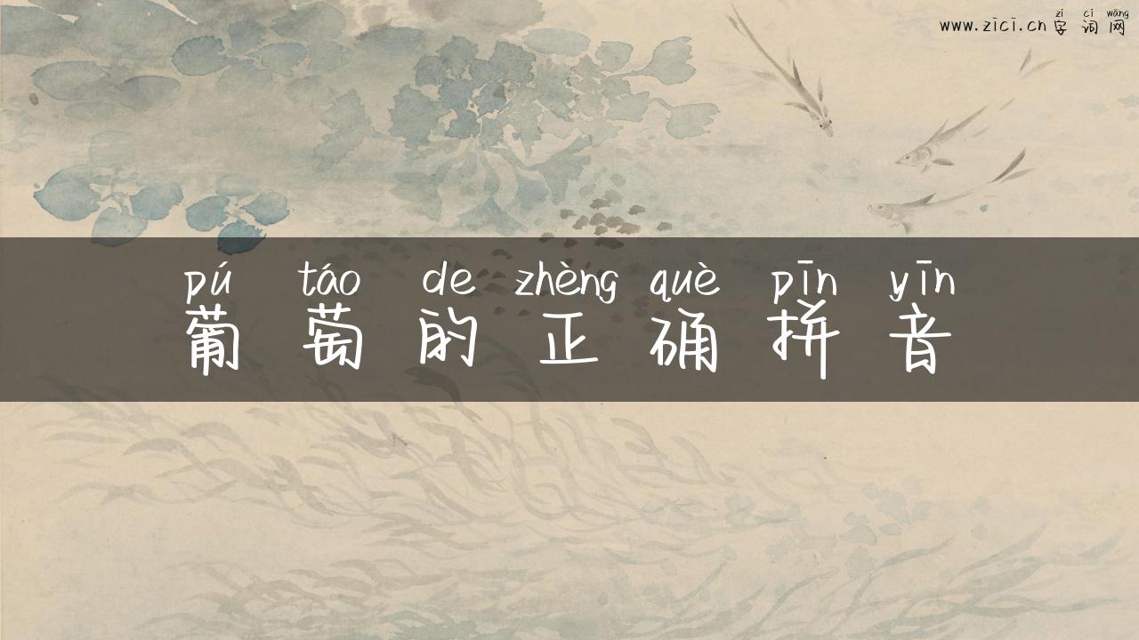 葡萄的正确拼音
