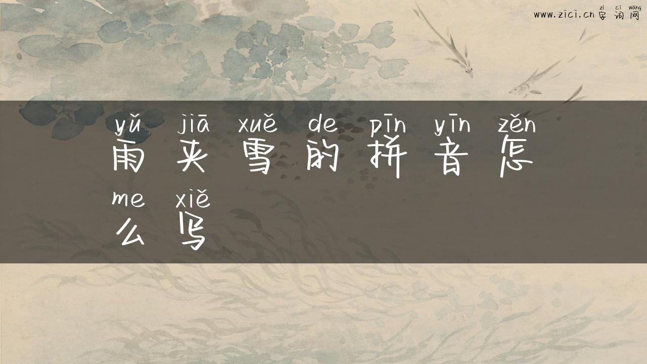 雨夹雪的拼音怎么写