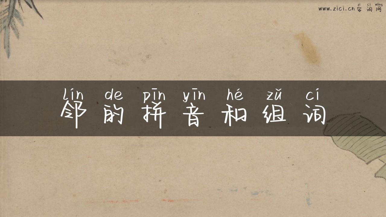 邻的拼音和组词