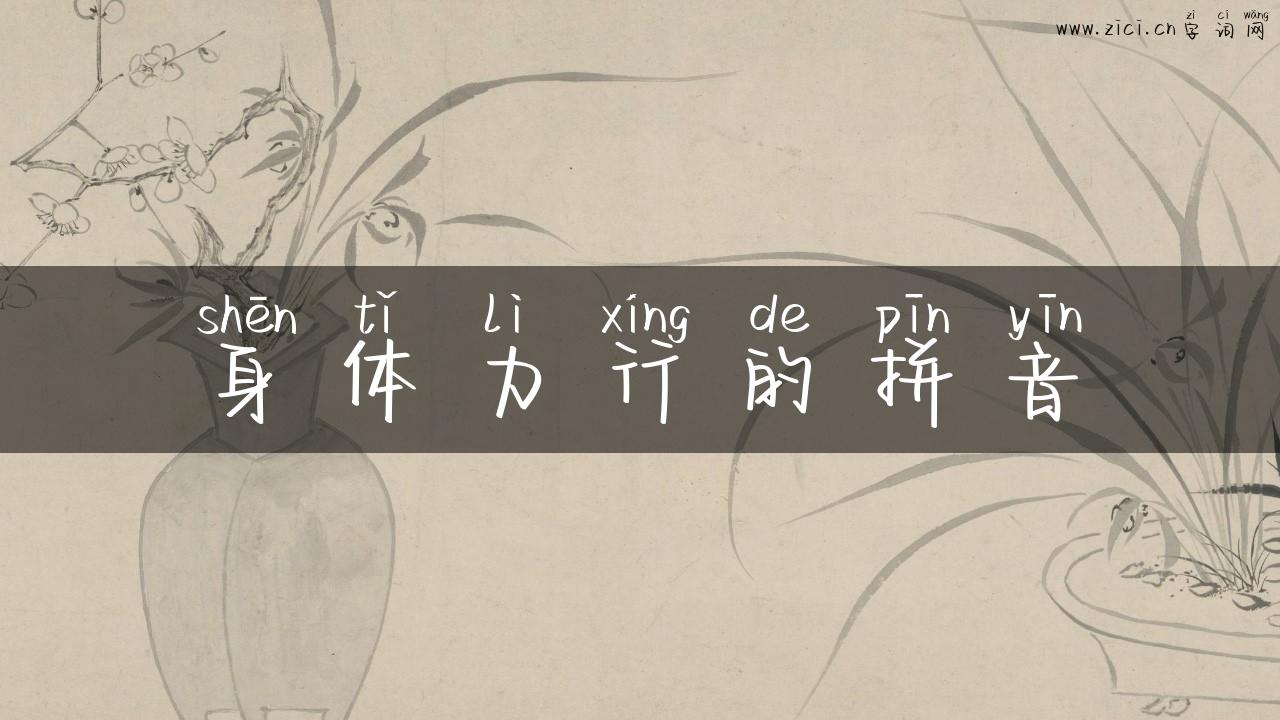 身体力行的拼音