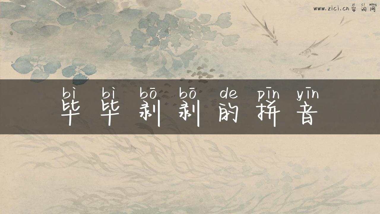 毕毕剥剥的拼音