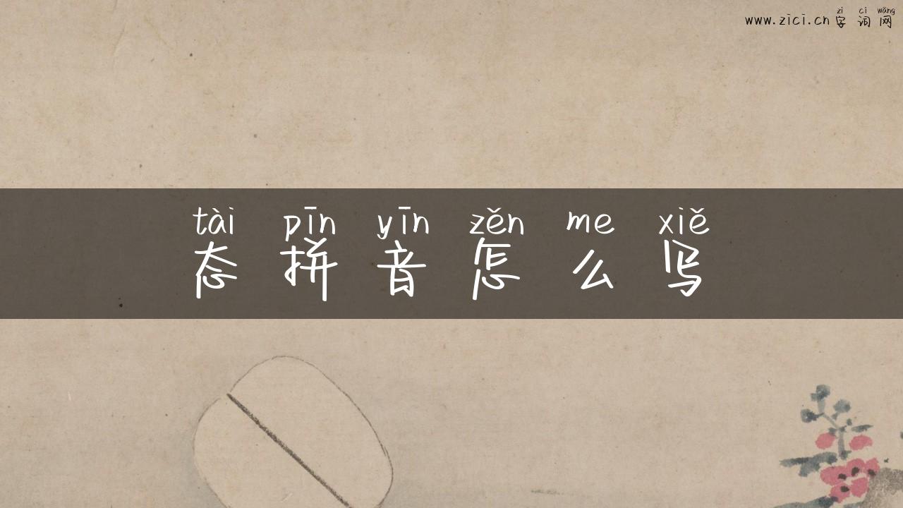 态拼音怎么写
