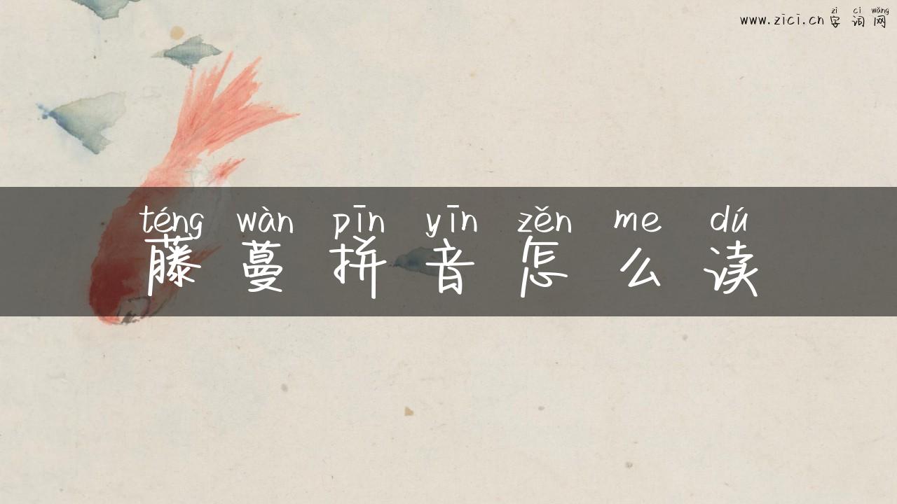藤蔓拼音怎么读