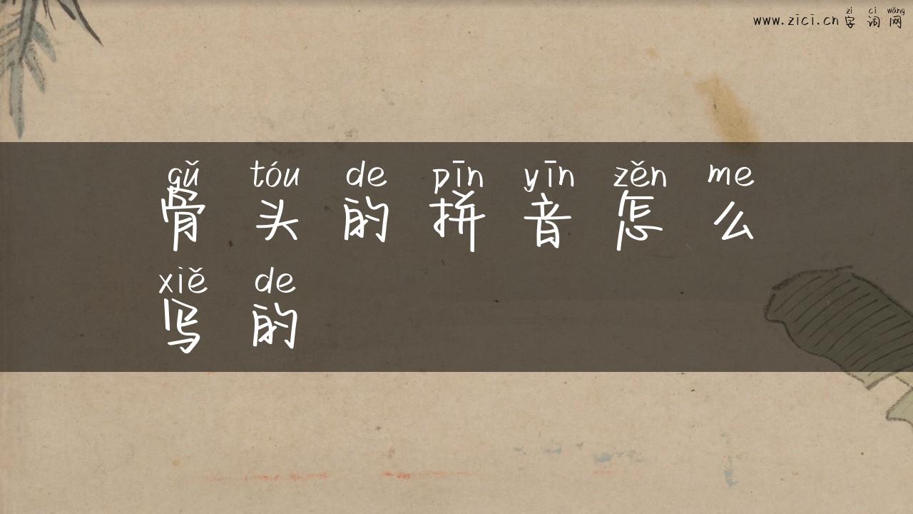 骨头的拼音怎么写的