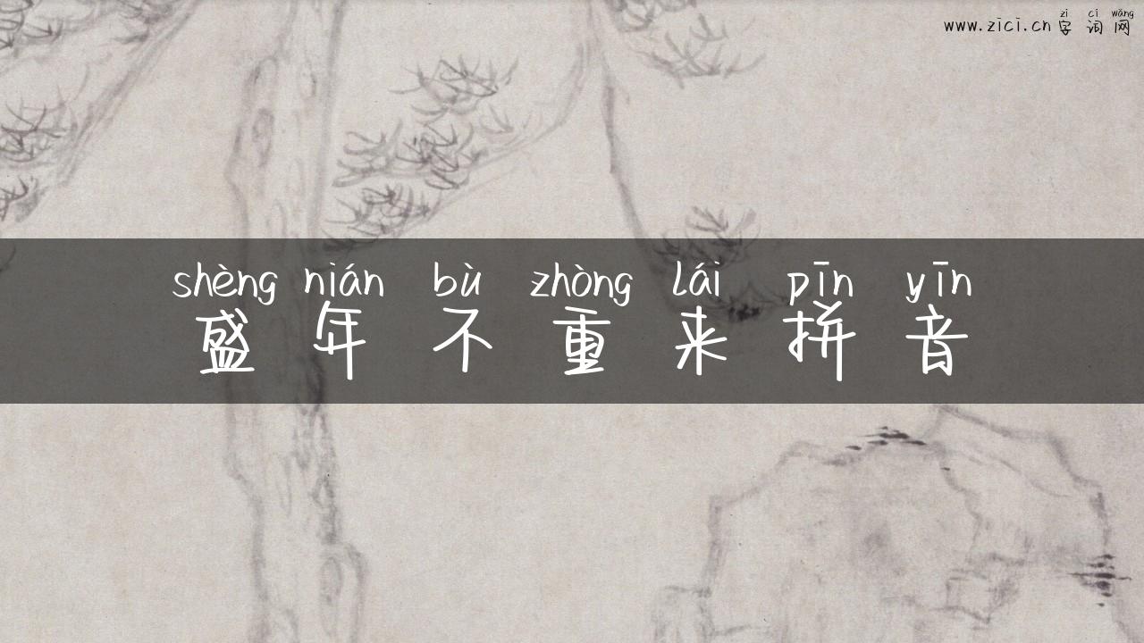盛年不重来拼音