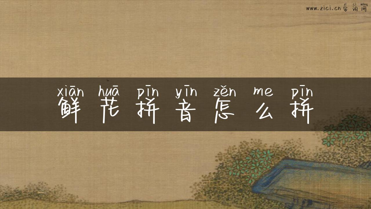 鲜花拼音怎么拼