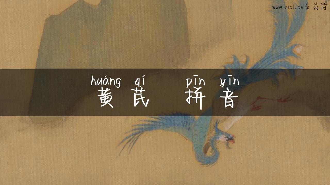 黄芪  拼音