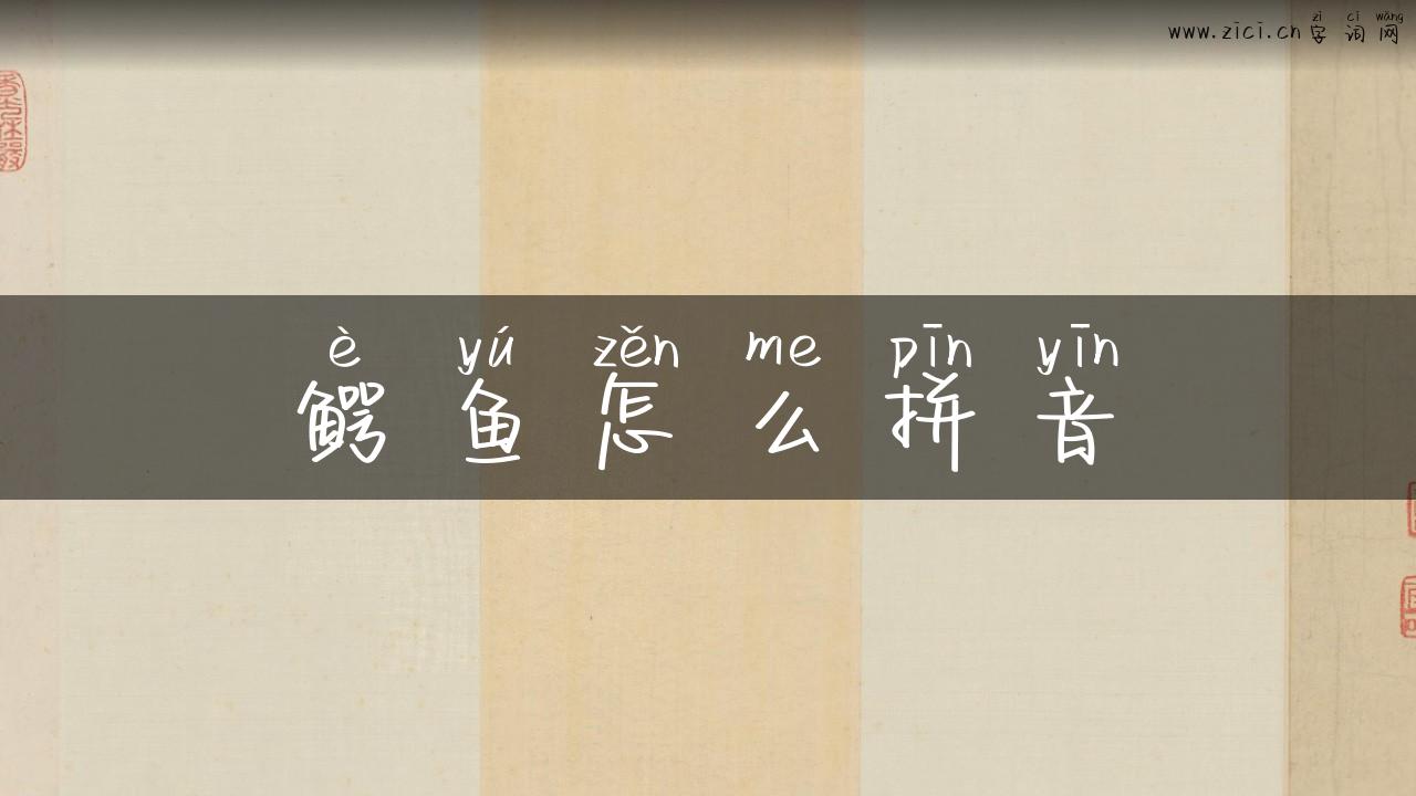 鳄鱼怎么拼音