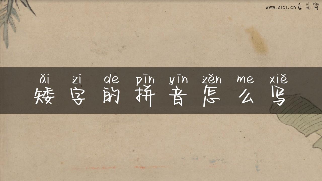 矮字的拼音怎么写
