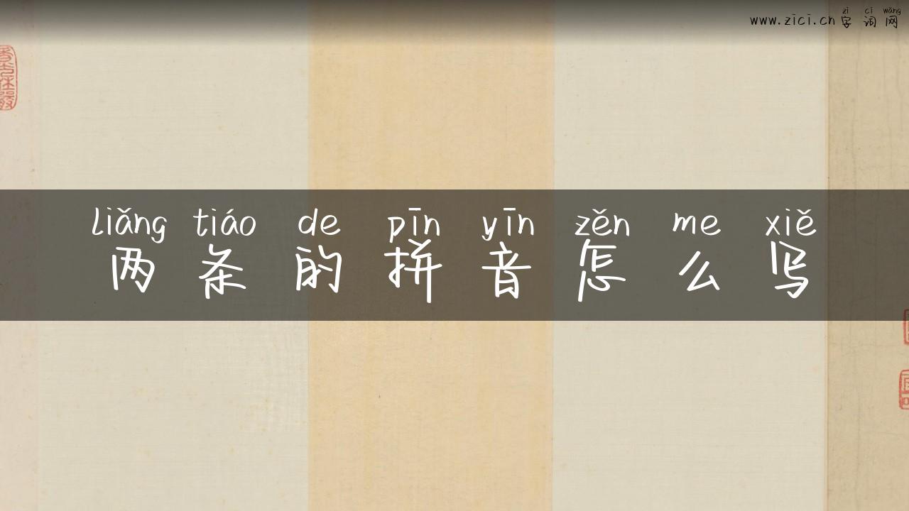 两条的拼音怎么写