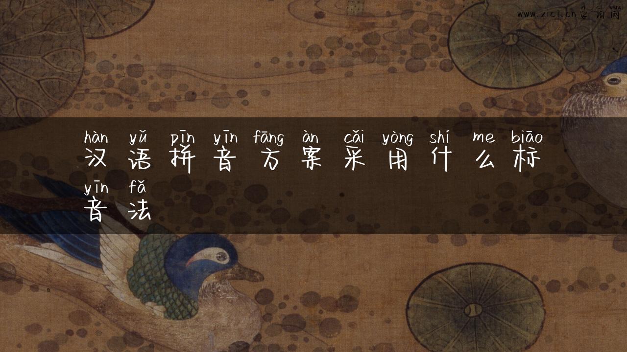 汉语拼音方案采用什么标音法