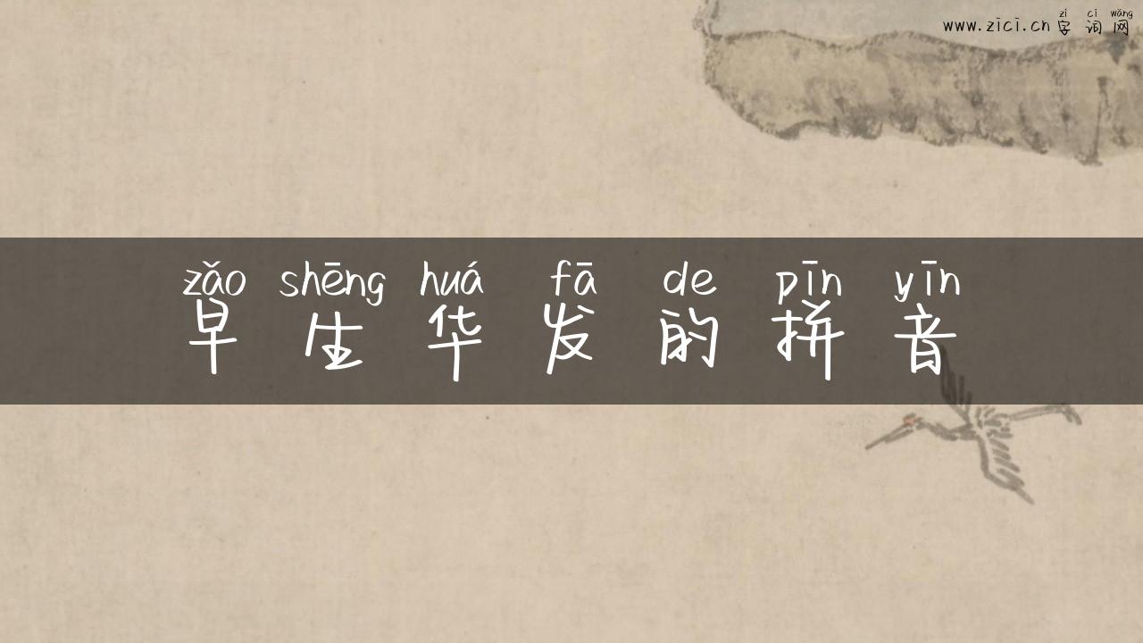 早生华发的拼音