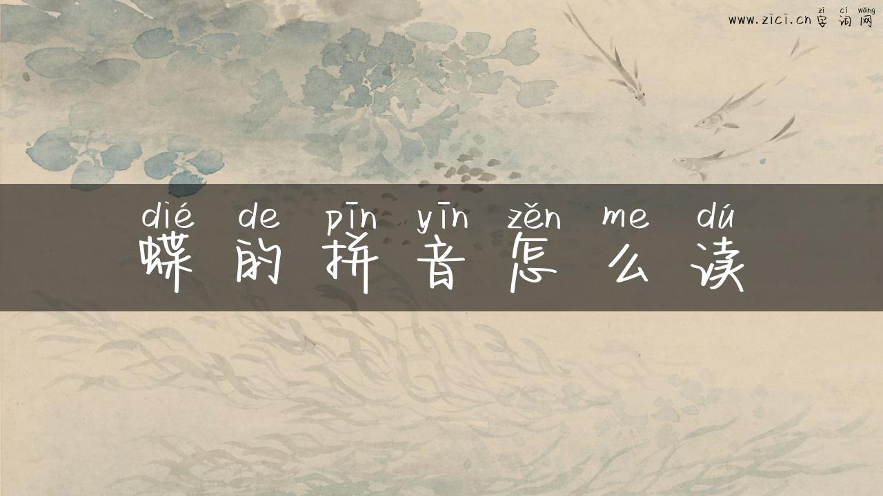 蝶的拼音怎么读