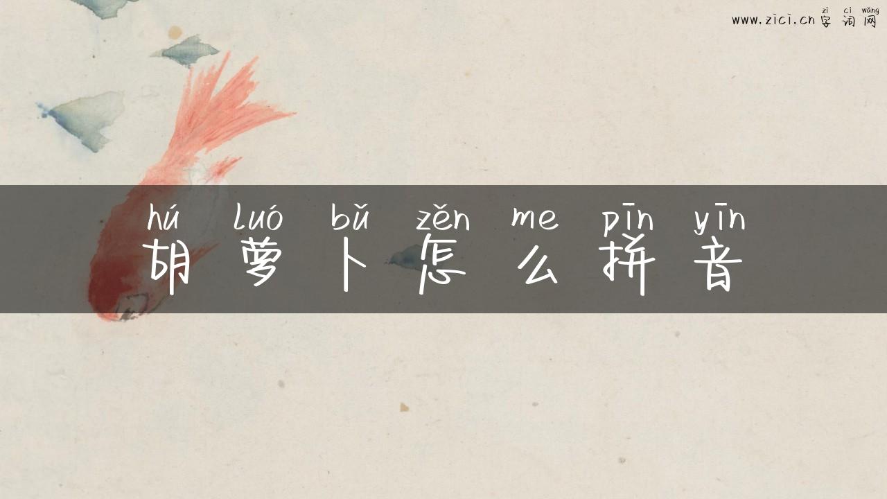 胡萝卜怎么拼音