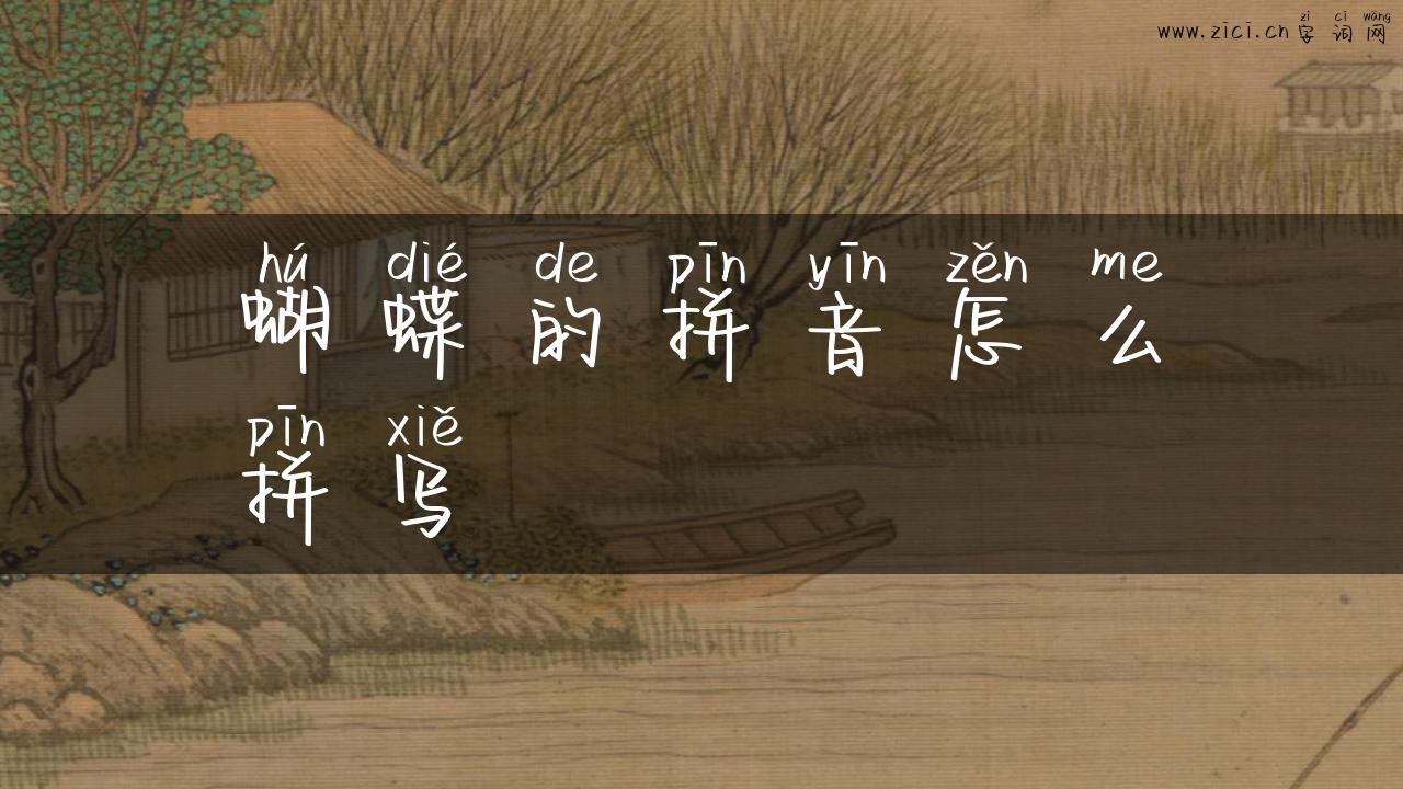 蝴蝶的拼音怎么拼写