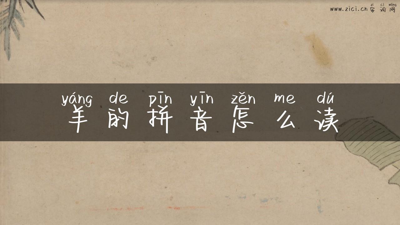 羊的拼音怎么读