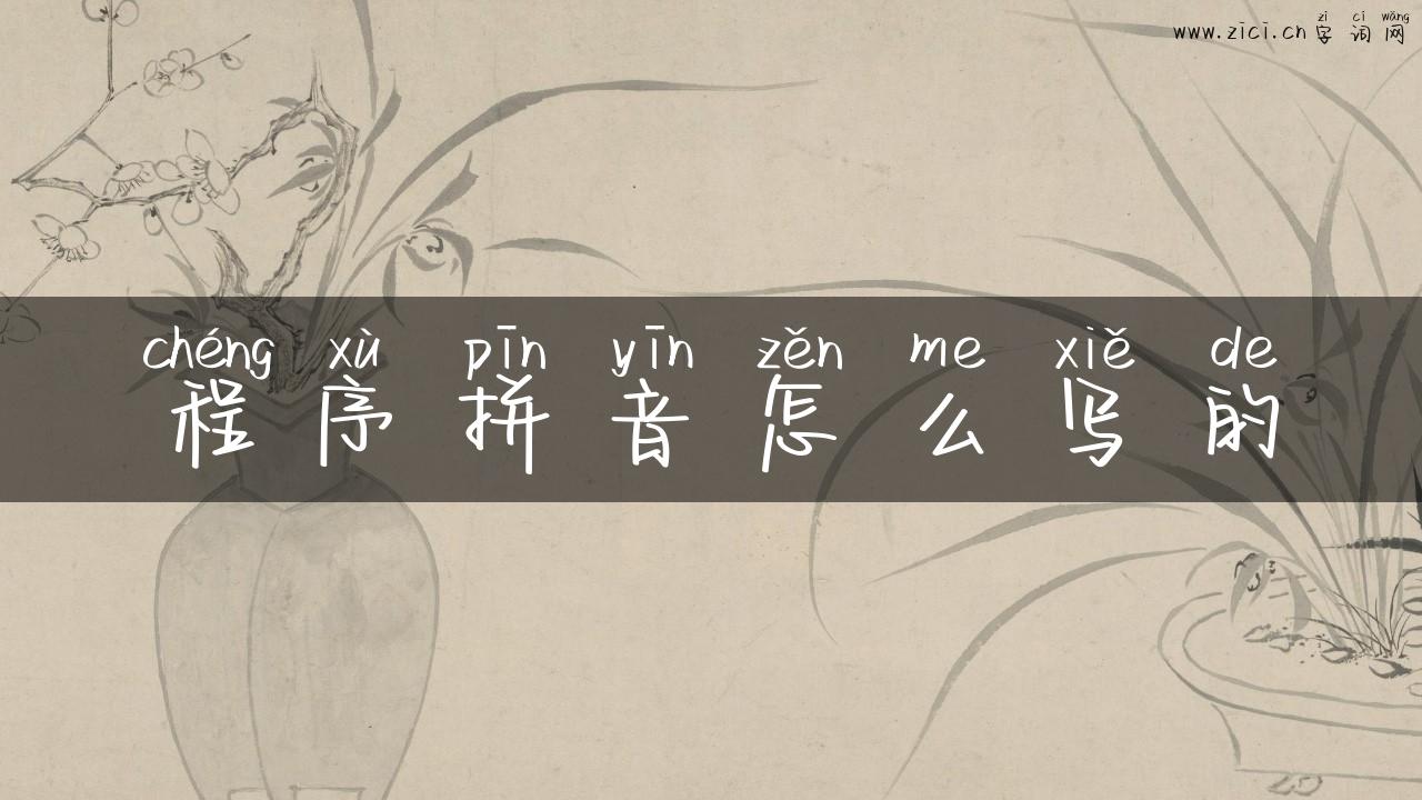 程序拼音怎么写的