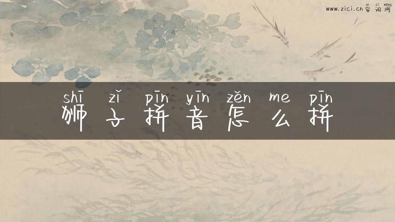 狮子拼音怎么拼
