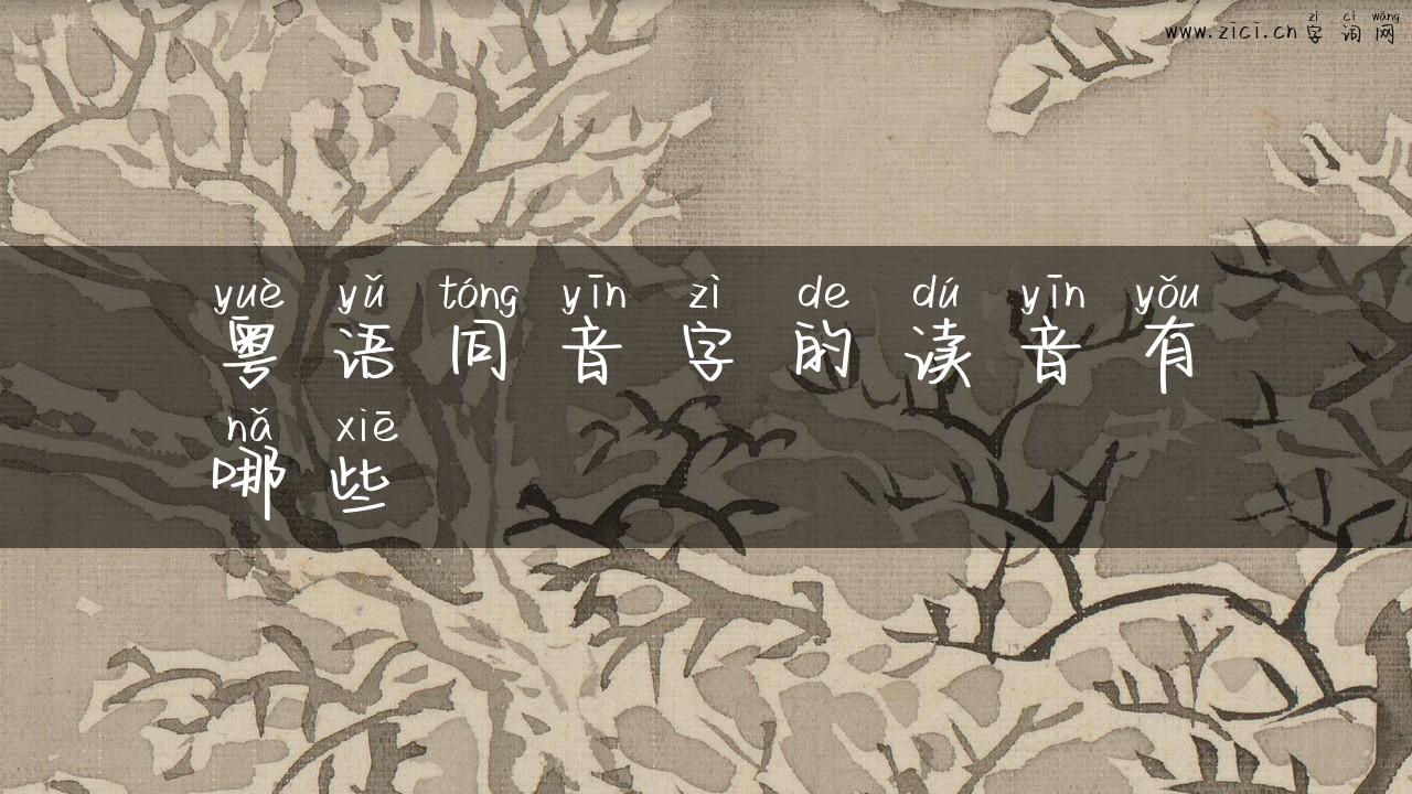 粤语同音字的读音有哪些