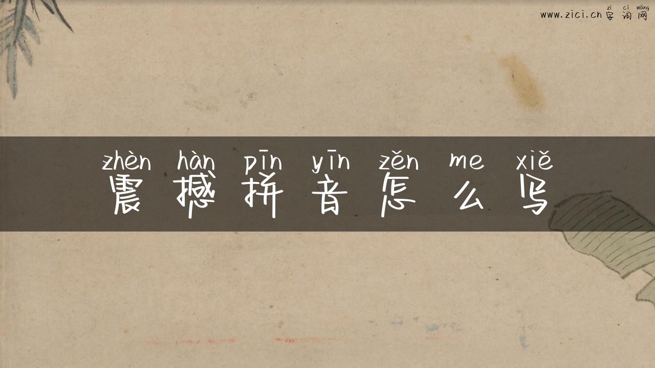 震撼拼音怎么写
