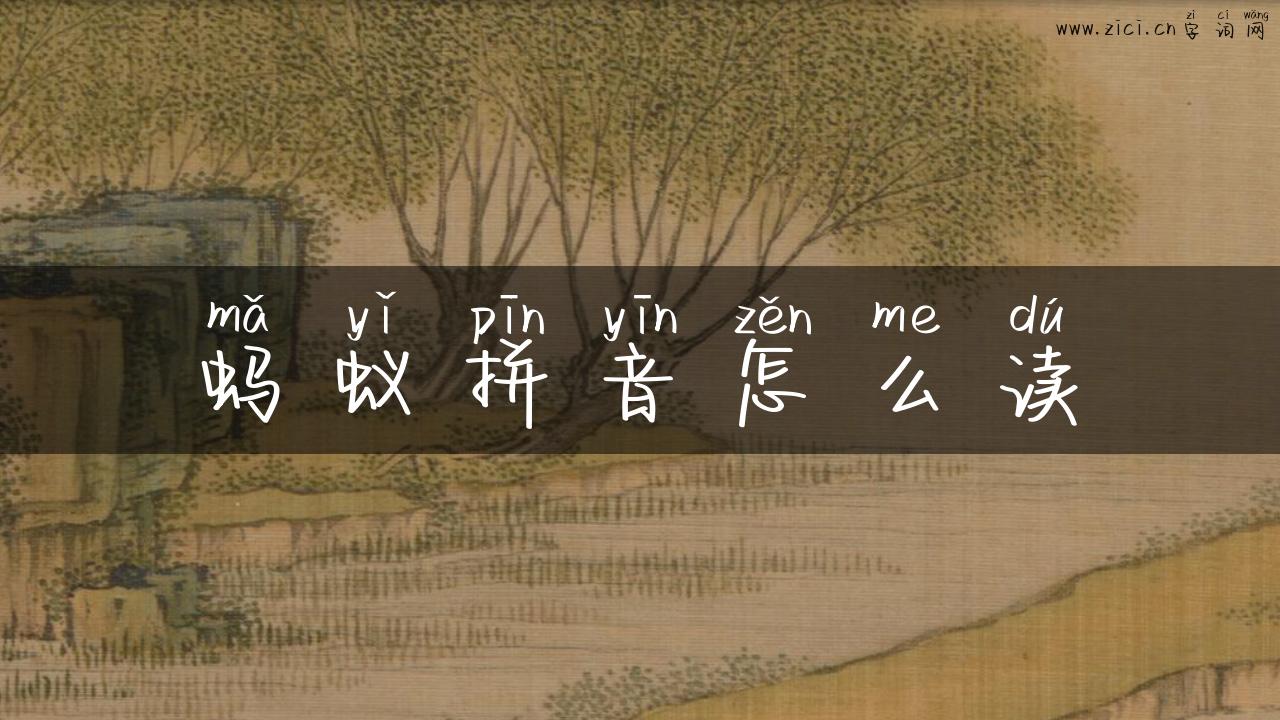 蚂蚁拼音怎么读