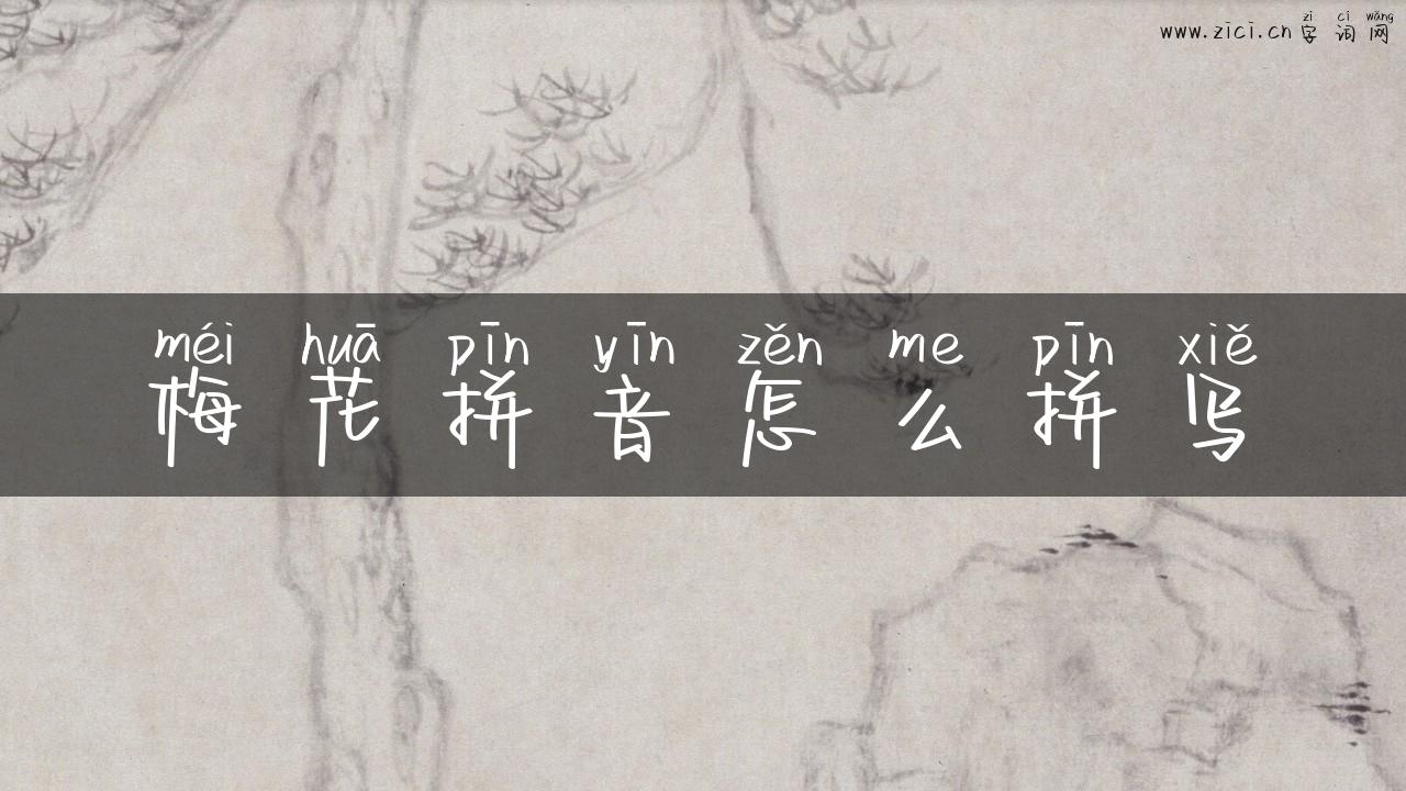 梅花拼音怎么拼写