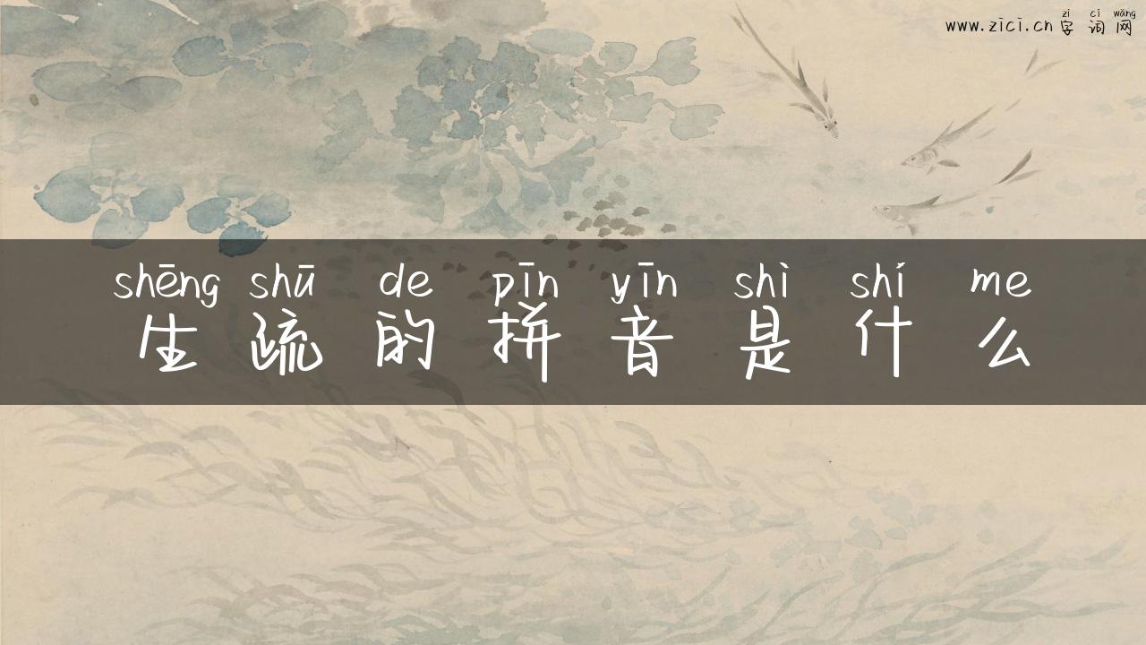 生疏的拼音是什么