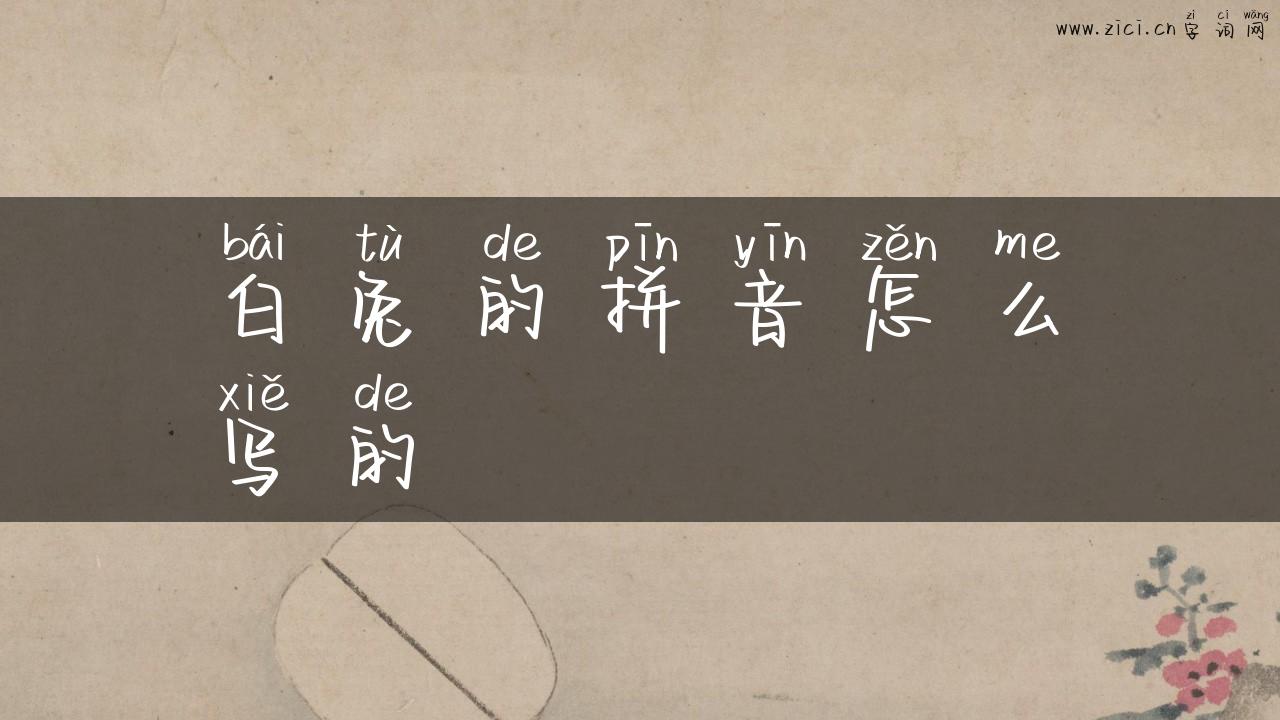 白兔的拼音怎么写的