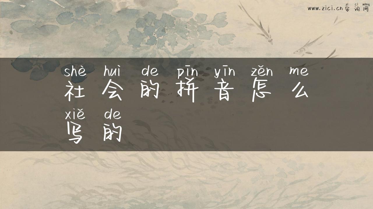 社会的拼音怎么写的