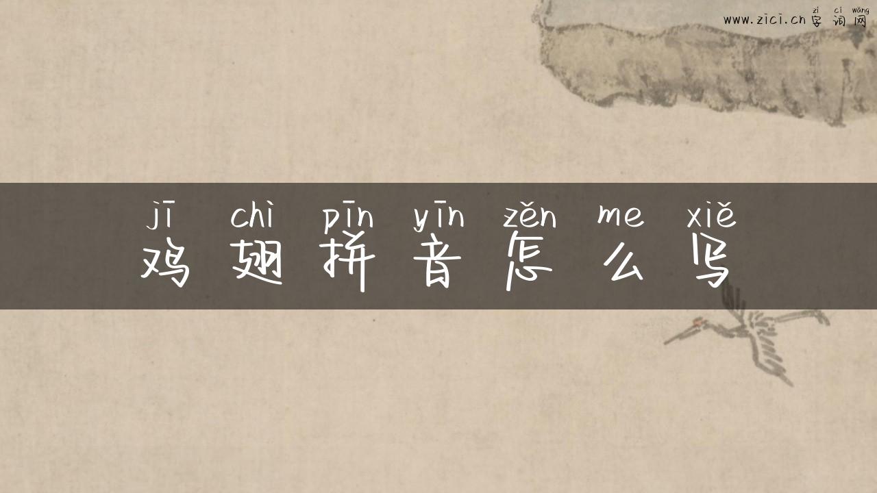 鸡翅拼音怎么写
