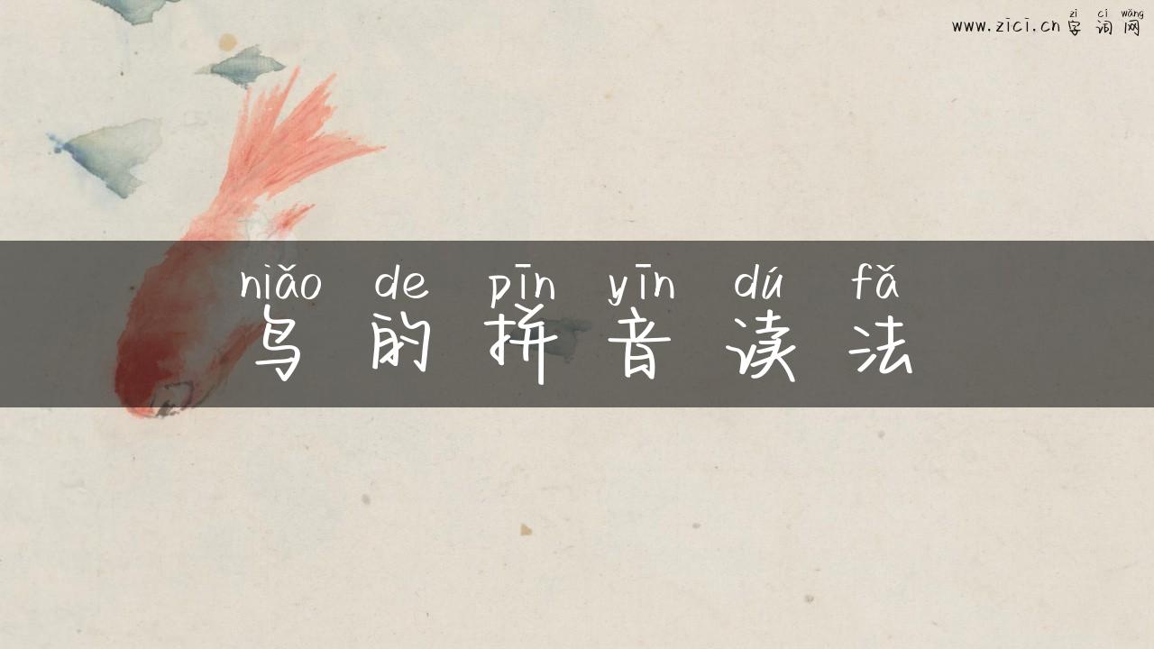 鸟的拼音读法