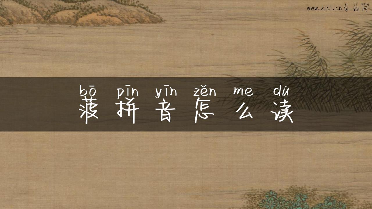 菠拼音怎么读