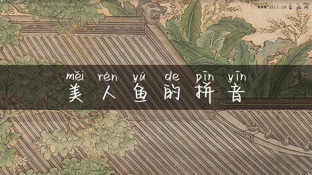 美人鱼的拼音