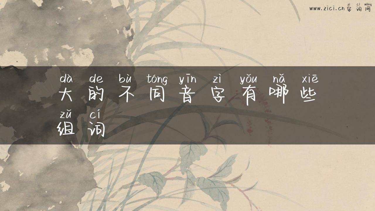 大的不同音字有哪些组词