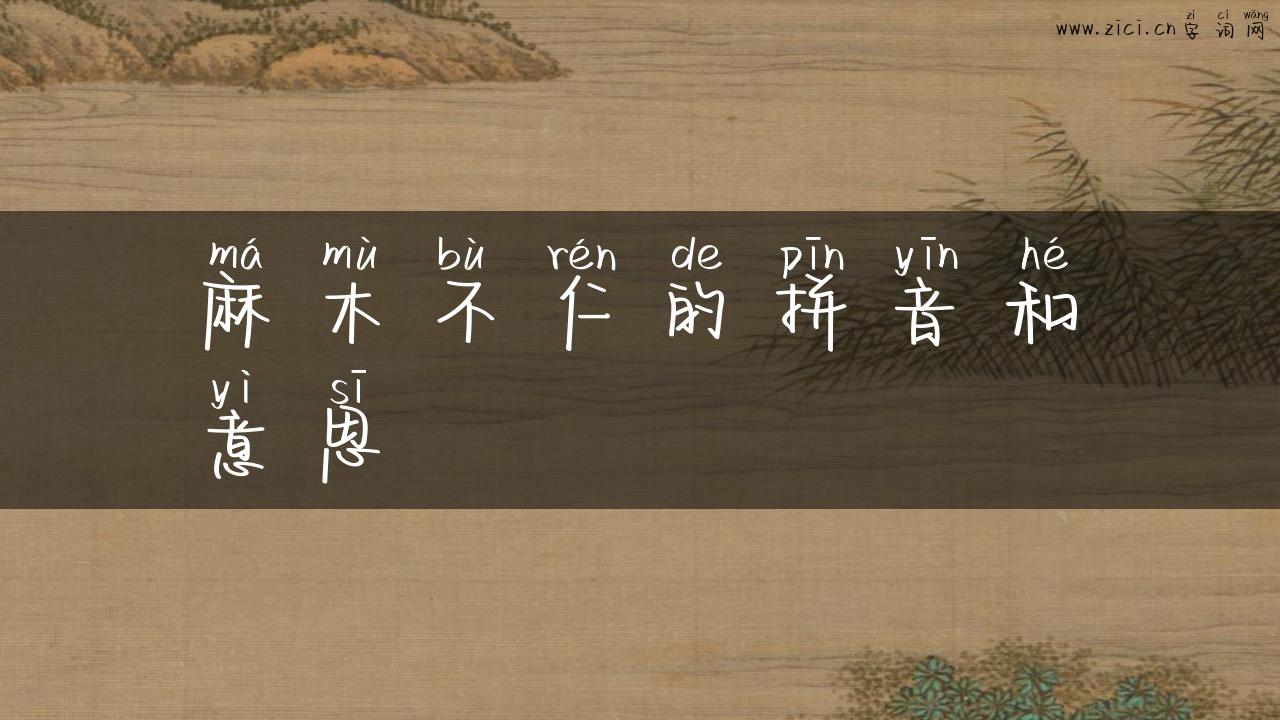 麻木不仁的拼音和意思