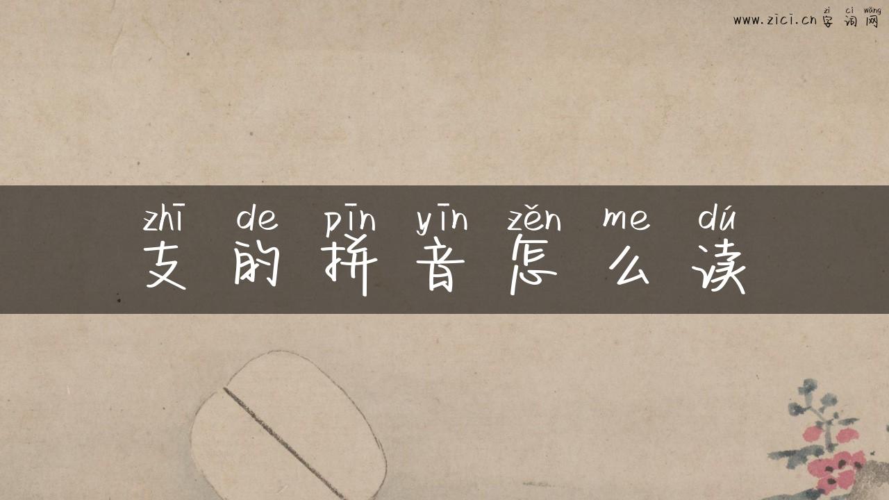 支的拼音怎么读