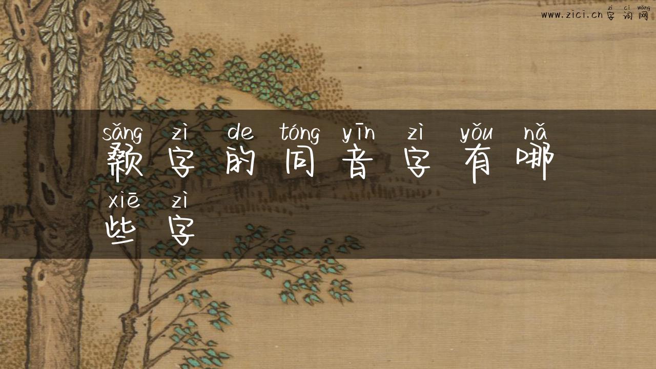 颡字的同音字有哪些字