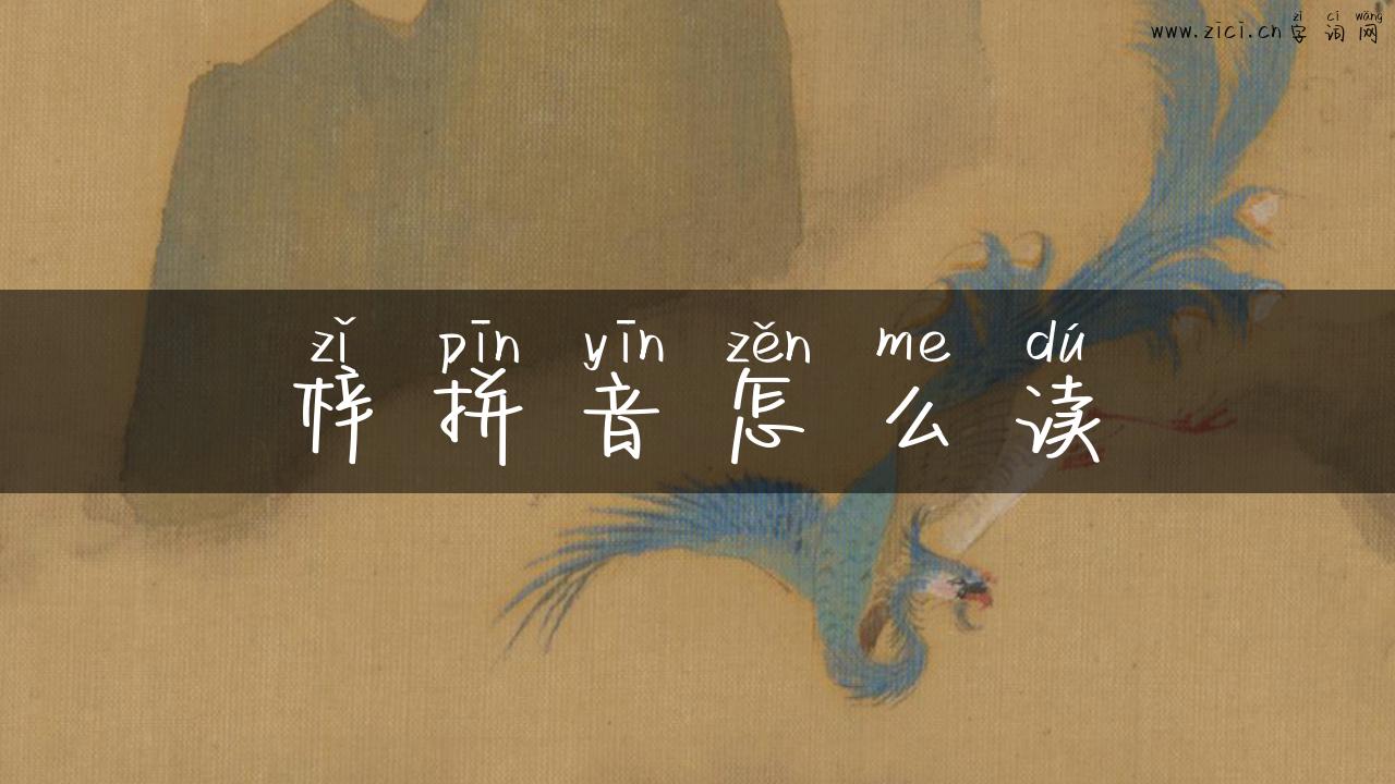 梓拼音怎么读
