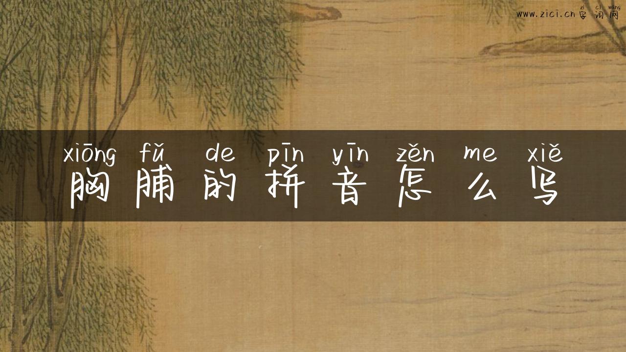 胸脯的拼音怎么写
