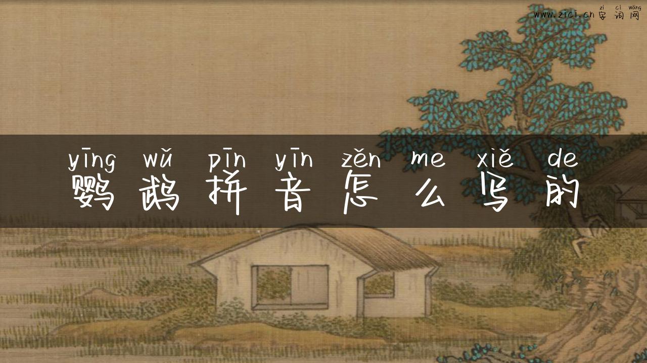 鹦鹉拼音怎么写的