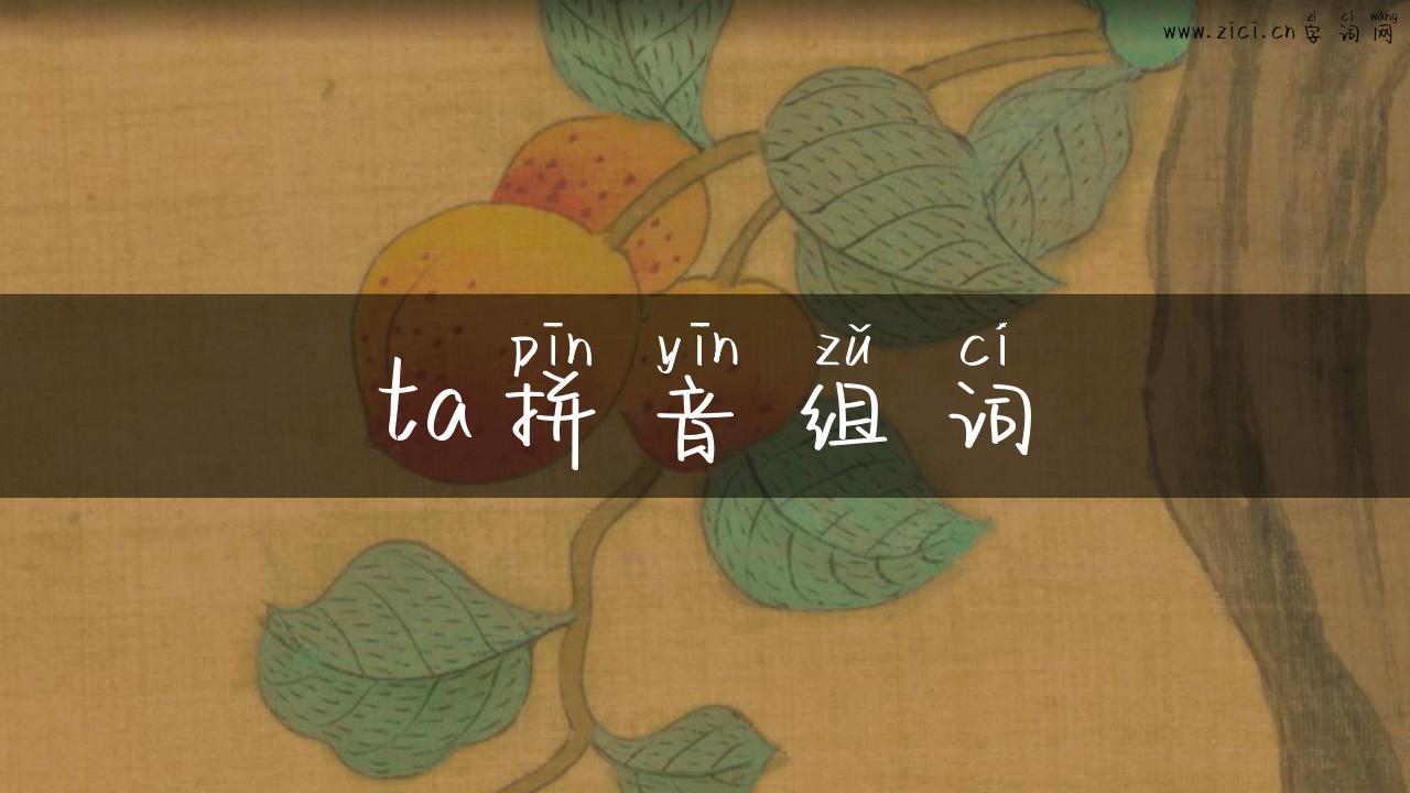 ta拼音组词