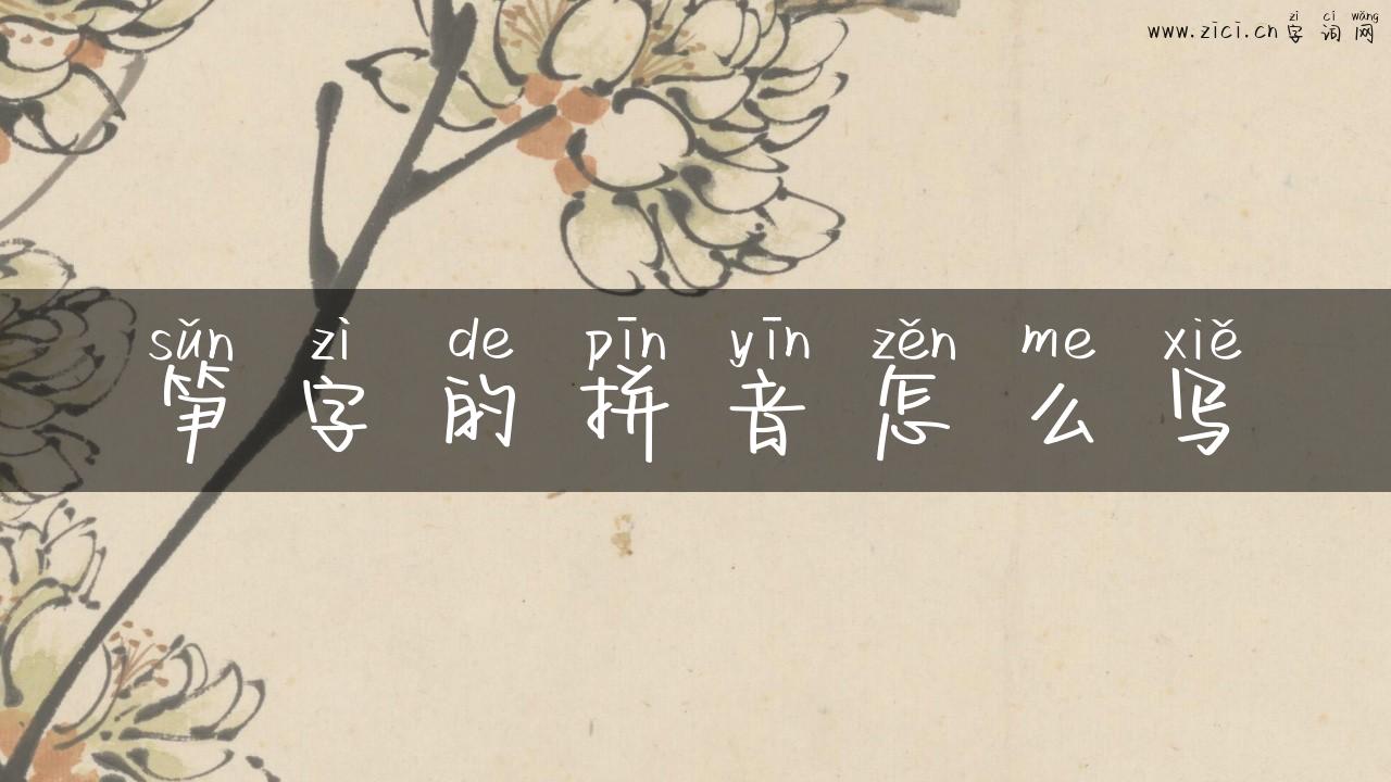 笋字的拼音怎么写
