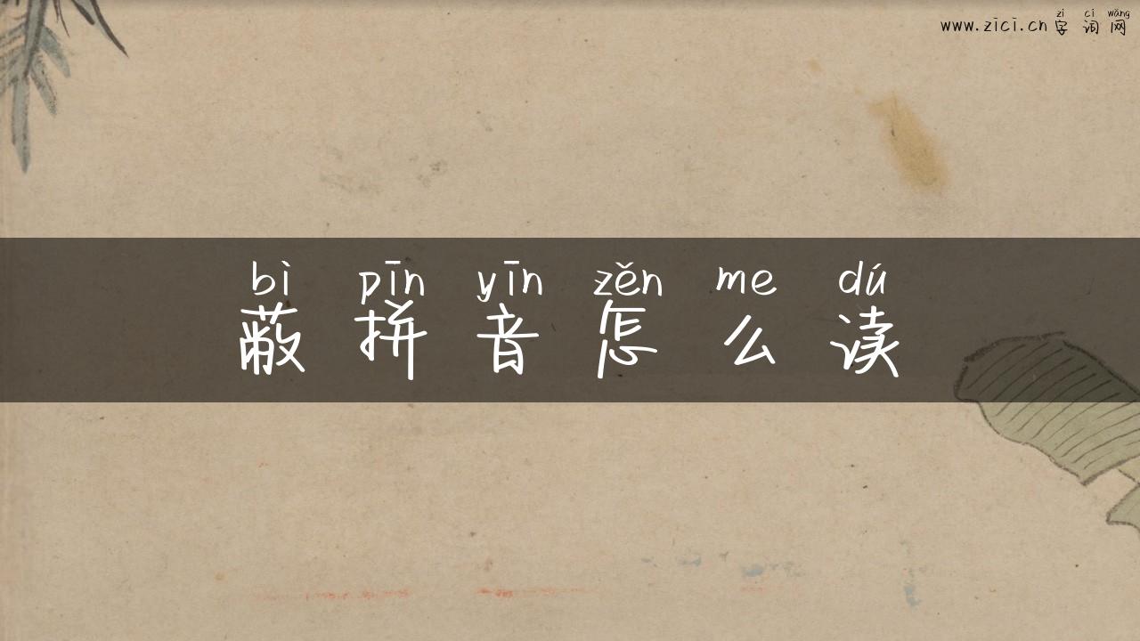 蔽拼音怎么读